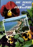 CPM La Cote d'Azur Juan les Pins l'Avenue Guillaumont et la Plage 