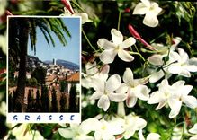 CPM Cote d'Azur Carrefour Mondial du tourisme Grasse Cite des Fleurs et des Parfumes le jasmine 