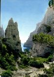 CPM Nos Belles Calanques Cassis B du R 