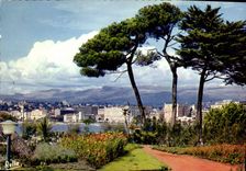 CPM La Cote d'Azur Cannes A M les grands palaces de la Croisette vus du Marly 