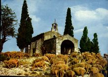 CPM Au Soleil du Midi Symphonie Pastorae 