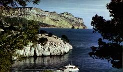 CPM Une rose a la boutonniere de la Provence Cassis sur Mer les calanques dans le fond le Cap Canail