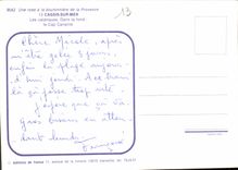 CPM Une rose a la boutonniere de la Provence Cassis sur Mer les calanques dans le fond le Cap Canail