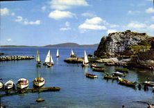 CPM La Cote Bleue Calanque de Niolon Voillers en evolution dans le Port 