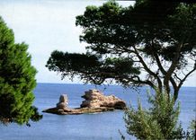 CPM La Cote Bleue Paysage Mediterraneen 