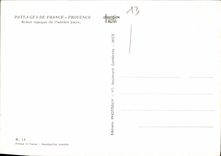 CPM Paysages de France Provence Scene typique de l'arriere pays 