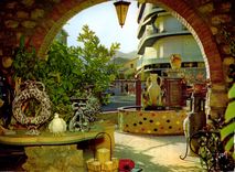 CPM Clouleurs et Lumiere de France la Cote d'Azur miracle de la nature Vallauris Alpes Maritimes Vil