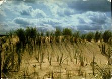 CPM Visage des Landes Effets de nuages sur la dune du littora 