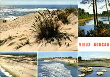 CPM Vieux Boucau Port d'Albert Landes 