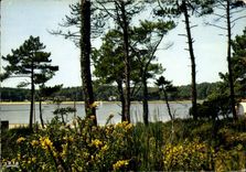 CPM Lac au pays landais 