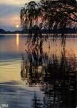 CPM Un lac landais Les nuees d'or les nuees de sang les nuees de feu 
