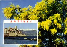 CPM La Cote d'Azur French Riviera Antibes 