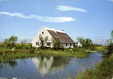 CPM Camargue Lumieres et Traditions Maison de Gardians 