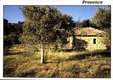 CPM Reflest de Provence 