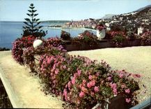 CPM Couleurs et lumiere de France la Cote d'Azur miracle de la nature Menton Alpes MAritimes 