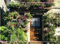 CPM La Cote d'Azur Inoubliable French Riviera Antibes A M Entree fleurie Vieil Antibes 