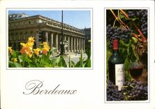 CPM Bordeaux le grand theatre 