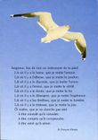 CPM Mouette Oiseau