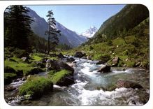 CPM Regard sur les Pyrenees a la decouverte du charme des Pyrenees Le Gave du Lutour 