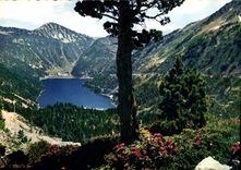 CPM Vallee d'Aure le Lac d'Oredon et le Mont Pelot vus de Cap de Long 