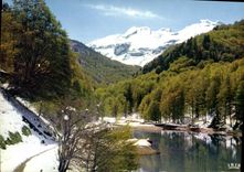 CPM Les Pyrenees au printemps lac d'Angluss 