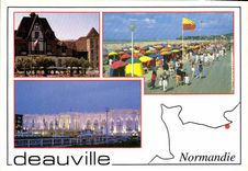 CPM Deauville Calvados l'Hotel de Ville les Planches le casino illumine 