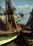 CPM Couleurs et Lumiere de France la luxuriante Normandie Honfleur Calvados bateaux de peche dans le