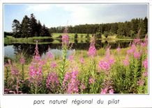 CPM parc Naturel Regional du Pilat 
