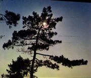 CPM Cote Atlantique la lune sortant des nuages noirs Semble une clarte qui vient par surprise 