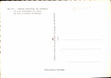 CPA Jardin exotique de Monaco un coin pittoresque du Jardin Au loin le Rocher de Monaco 