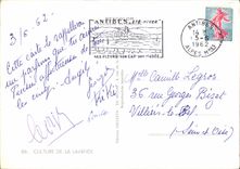 CPA Culture de la Lavande Folklore