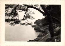 CPA Les Bords de la Riviera Menton le Cap Martin 