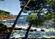 CPA Reflets de la Cote d'Azur la Mediterranee venant mourir au pied de la Corniche d'Or 