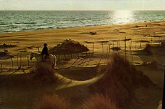 CPM Contre jour et cavalier dans les dunes Cheval