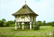 CPM Dans nos Campagnes un beau pigbonnier 