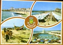 CPM Espinho Portugal Motivos Turisticos Diversos Divers Motifs Touristiques Bœufs Piscine