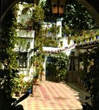 CPM Espana Es Diferente Tipico Patio Andaluz 