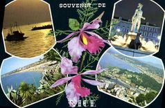 CPM Souvenir de Nice 