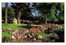 CPM Nice Le Jardins du Chateau 