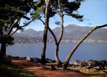 CPM La Cote d'Azur Menton Vue de Menton prise du Cap Martin 