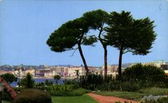 CPM Cannes Vue generale prise depuis les Jardins du Palm Beach 
