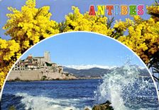 CPM Cote d'Azur Antibes Alpes Maritimes Les Remparts et les Alpes enneigees 