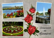 CPM Souvenir de Geneve 