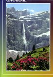 CPM Gavarnie Rhododendrons et Cascade du Cirque 