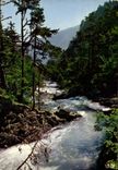 CPM Les Pyrenees Symphonie en vert et bleu Un Gave Pyreneen 