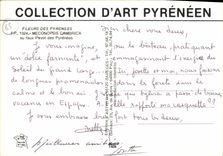 CPM Fleurs des Pyrenees Meconopsis Cambrica 