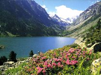 CPM En Parcourant les Pyrenees Lac de Gaube 