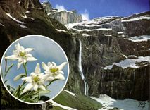 CPM Gavarnie Le Cirque et sa Cascade 