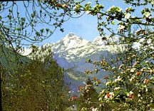CPM Sites Pyrenees Le Massif du Montvalier 