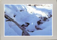 CPM Les joies de la neige 